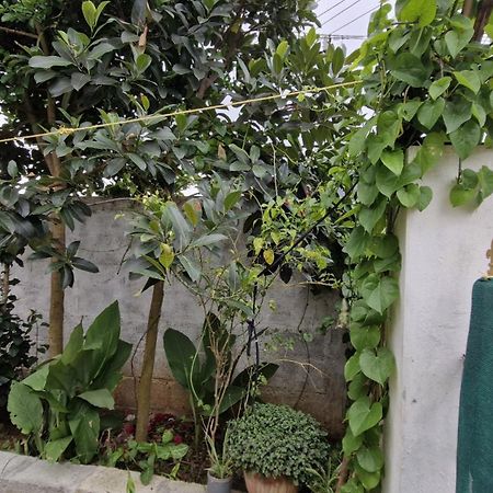 Malgudi Mane Homestay Chikmagalūr Buitenkant foto