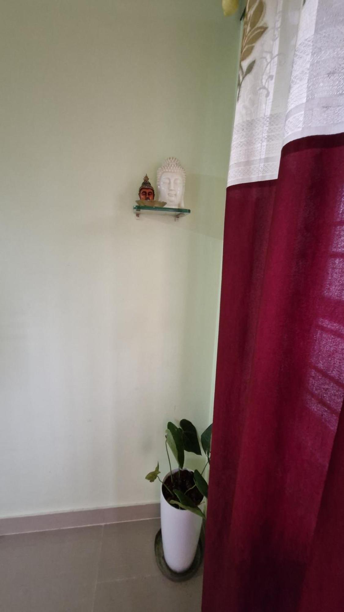 Malgudi Mane Homestay Chikmagalūr Buitenkant foto