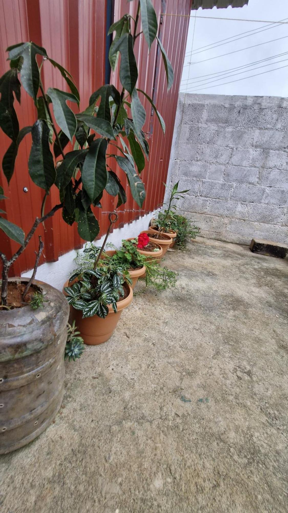 Malgudi Mane Homestay Chikmagalūr Buitenkant foto