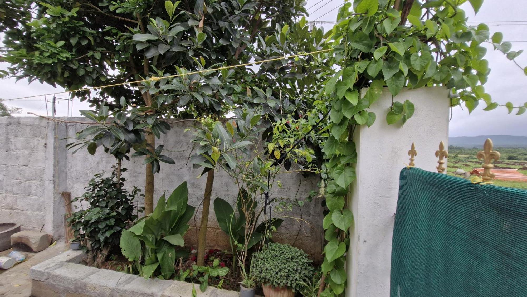 Malgudi Mane Homestay Chikmagalūr Buitenkant foto
